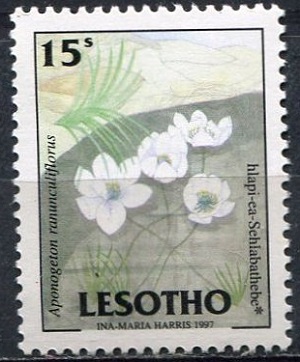 Lesotho (1998)