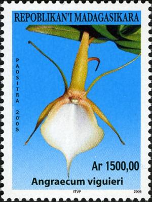 Madagascar 2005