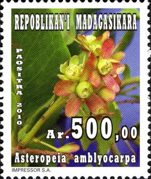 Мадагаскар - Madagascar 2011