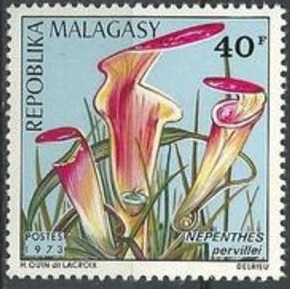 Madagascar 1973