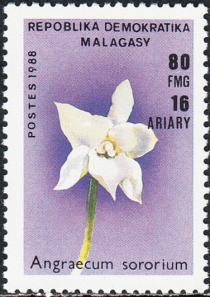 Мадагаскар - Madagascar (1989)