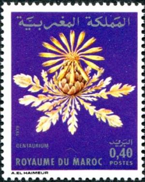 Марокко - Morocco (C.gattefossei - 1979) 