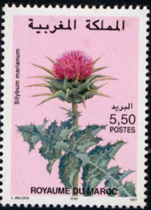 Morocco 1992