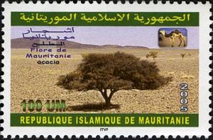 Mauritania 2005