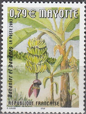 Mayotte 2003
