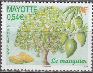 Mayotte 2007