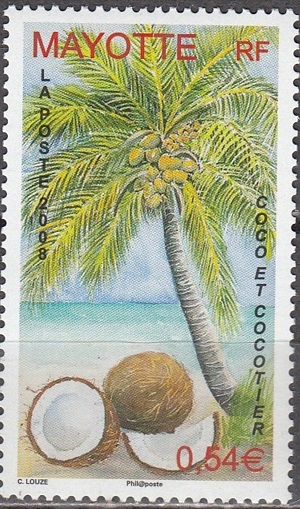 Mayotte 2008