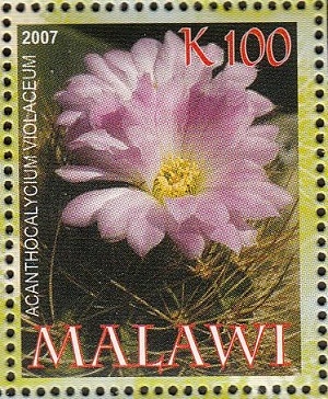 Малави - Malawi (2007) 