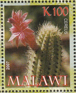 Malawi 2007