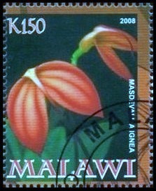 Malawi 2008