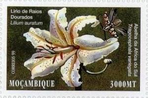 Мозамбик - Mozambique (2000)