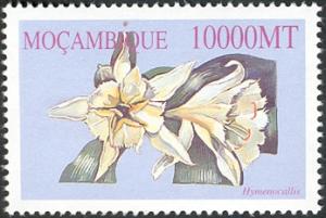Moambique 2002
