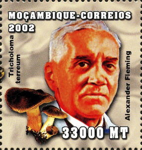Мозамбик - Mozambique (2003)
