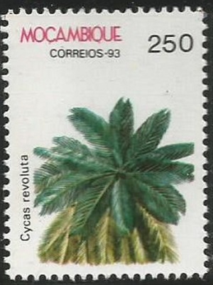 Mozambique 1993