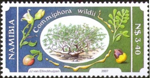 Namibia 2007