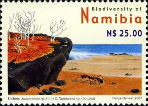 Намибия - Namibia (Xanthoria sp. - 2008)