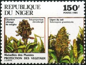 Niger 1985