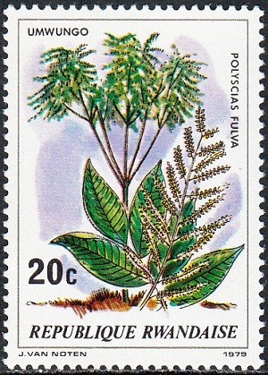 Rwanda 1979