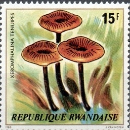 Руанда - Rwanda (1980)