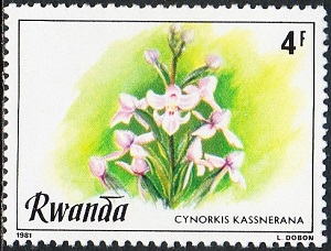 Руанда - Rwanda (1981)