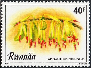 Руанда - Rwanda T.brunneus - 1981