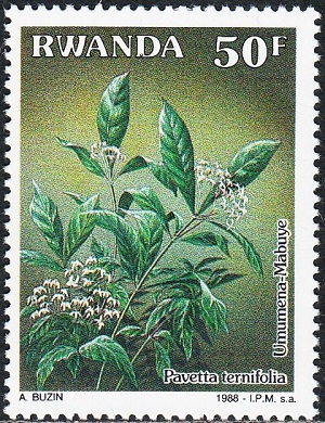 Rwanda - 1988