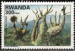 Руанда - Rwanda (1995)