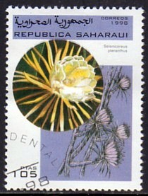 Западная Сахара - West Sahara (1998) 