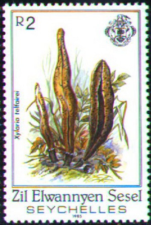 Сейшелы - Seychelles (X.telfairei - 1985)