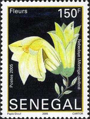 Senegal 2006