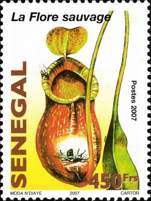 Сенегал - Senegal (2008) 