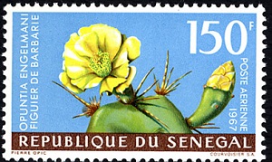 Сенегал - Senegal (1967)
