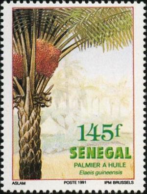 Senegal 1991