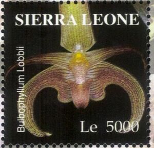 Sierra Leone 2004