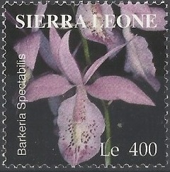Sierra 2004