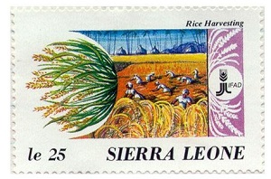 Sierra leone 1988