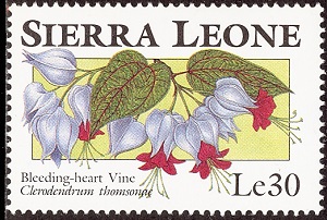 Сьерра-Леоне - Sierra Leone (1993)