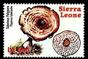Sierra Leone 2000