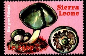 Sierra Leone (2000)