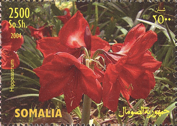 Сомали - Somalia (2004)
