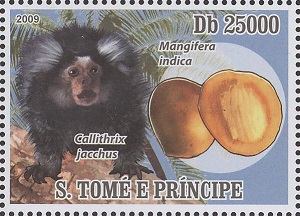 Sao Tome 2009