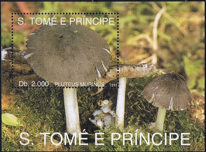 Сан-Томе - Saint Thomas (1993)