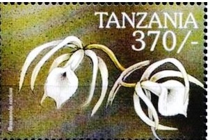 Tanzania 2000