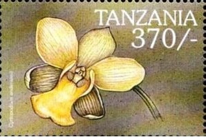 Tanzania 2000
