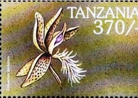 Танзания - Tanzania (1999)