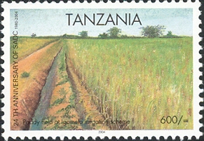 Tanania 2004