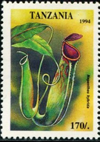 Tanzania 1994