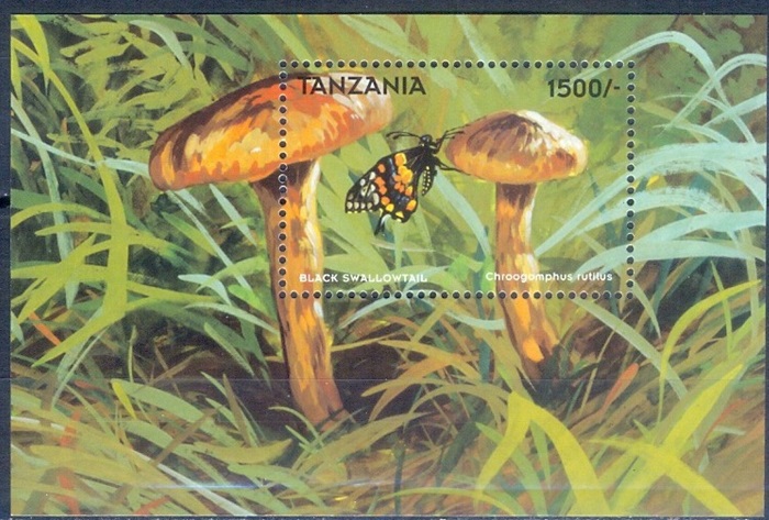 Tanzania 1998