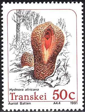 Transkei 1991