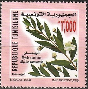 Tunisia 2003